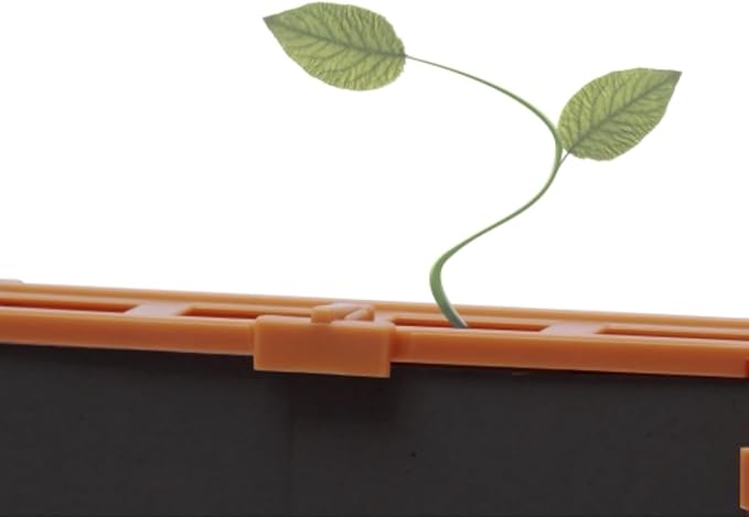 4M: Green Science - Grow-A-Maze - DIY Mini Plant Growth Lab, Customizable Maze, Assemble-Plant-Observe The Power of Nature, STEAM Project, Kids 5+