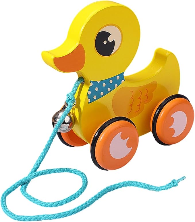 Pull Along Toy with String, Animal Push and Pull Along Toys, Duck