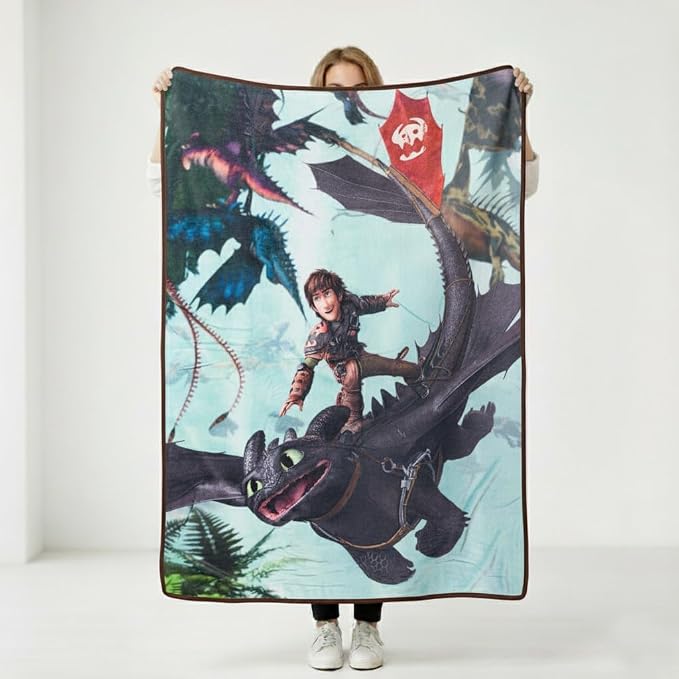 Silver Buffalo How to Train Your Dragon Plush Fleece Throw Blanket Featuring Hiccup and Night Fury, 45" x 60"