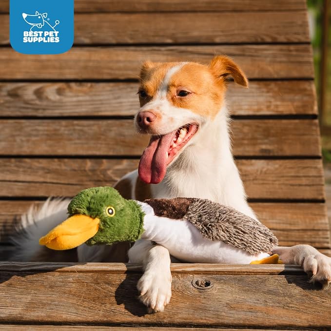 Best Pet Supplies Interactive Squeaky Dog Chew Toy, Ideal Dog Toys for Chewers, Small, Medium & Large Dogs, and Fetch Lovers - Mallard Duck (Brown), Small