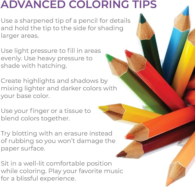 PunLabs Shades of Bey Colored Pencil Set for Adults – 12 Beyoncé-Inspired Parody Pencils with Clever Foil-Stamped Names, Soft Core Colored Pencils, Ideal Beyoncé Merch & Beyoncé Gifts for Fans