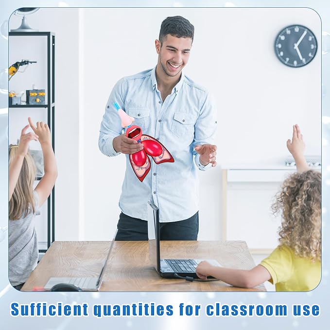 Libima 24 Sets Lung Model Respiratory System Model Toys Science Classroom Study Display Biologic Anatomy Doll and Human Body Puzzle Learning Homeschool Preschool Early Childhood Teaching Aid
