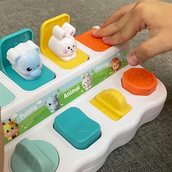 Cause-And-Effect Toys for Babies, educational toys for 1 year old, Developmental Toy With Buttons & Color Sorting Animal, toddlers 2-3, 18 Months kids Pop-Up toys, 6-12 months baby birthday gift.