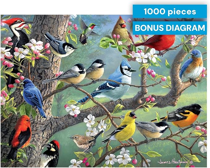 Buffalo Games Hautman Brothers - Birds in an Orchard - 1000 Piece Jigsaw Puzzle for Adults - 26.75 x 19.75 in, Poster Included - Precision Cut Pieces - Jigsaw Puzzles for Adults - Bird Scene