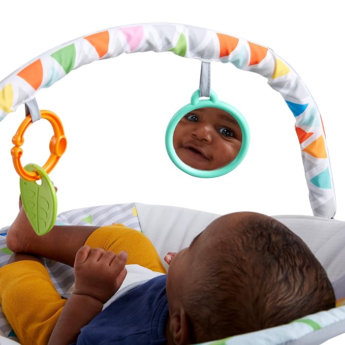 Bright Starts Safari Fun 3-Point Harness Vibrating Baby Bouncer with Toy bar (Pack of 2)