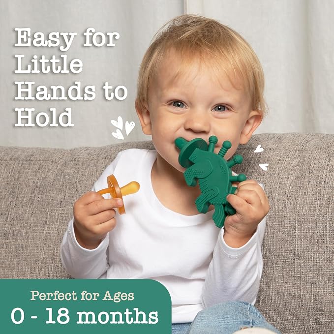 Bambeado Dibly Baby Teething Toy - Made with Natural Rubber & Amber Elements - Easy to Hold, Simple to Clean - Cute Dinosaur Teether Toy - Alternative to Amber Teething Necklace Green