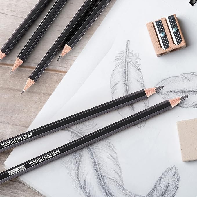 PANDAFLY 12 Pieces Professional Drawing Sketching Pencil Set, Graphite Pencils (14B - 2H), Ideal for Drawing Art, Sketching, Shading, Artist Pencils for Beginners & Pro Artists