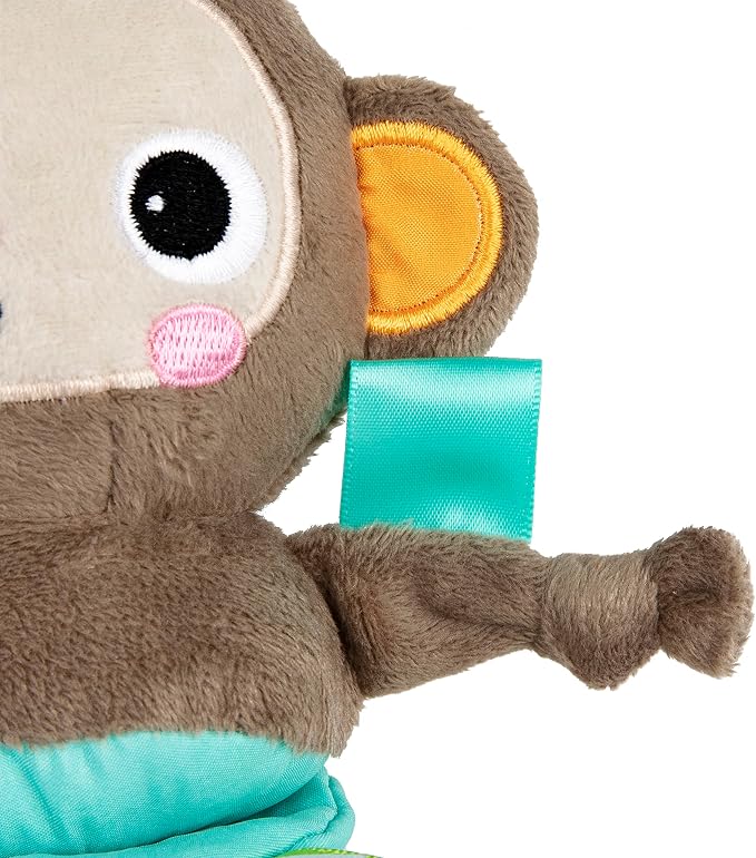 Bright Starts Pull, Play & Boogie Musical Activity Toy for Stroller - Monkey - Unisex, Newborn +