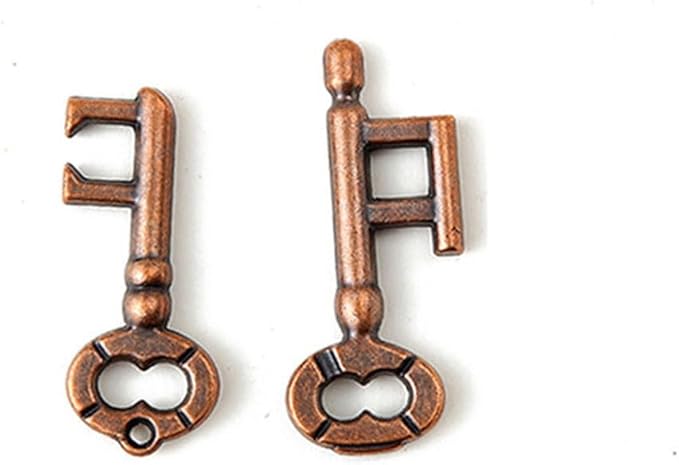 2 Pair Sets of Metal Brain Teaser Puzzle Keys, Assembly & Disentanglement Puzzles, IQ Logical Games, Fidget Stress Gift for Adults