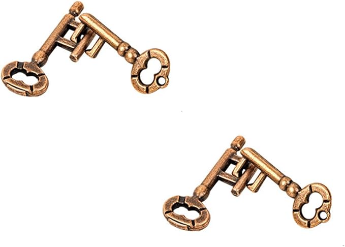 2 Pair Sets of Metal Brain Teaser Puzzle Keys, Assembly & Disentanglement Puzzles, IQ Logical Games, Fidget Stress Gift for Adults