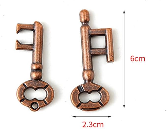 2 Pair Sets of Metal Brain Teaser Puzzle Keys, Assembly & Disentanglement Puzzles, IQ Logical Games, Fidget Stress Gift for Adults