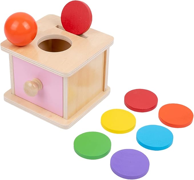Adena Montessori Coin Box, 2 in 1 Object Permanence Box with Ball and Wooden Discs, Developmental Toys for 6-12 Month Infants, Learning Gifts for 1 Year Old Baby (Pink Door)