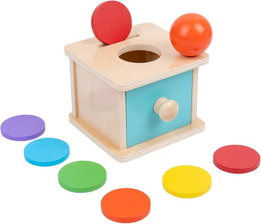 Adena Montessori Coin Box, 2 in 1 Object Permanence Box with Ball, Wooden Ball Drop Toys for 6-12 Month Infants, Developmental Learning Toys for 1 Year Old Baby, Kids Gifts (Blue Door)