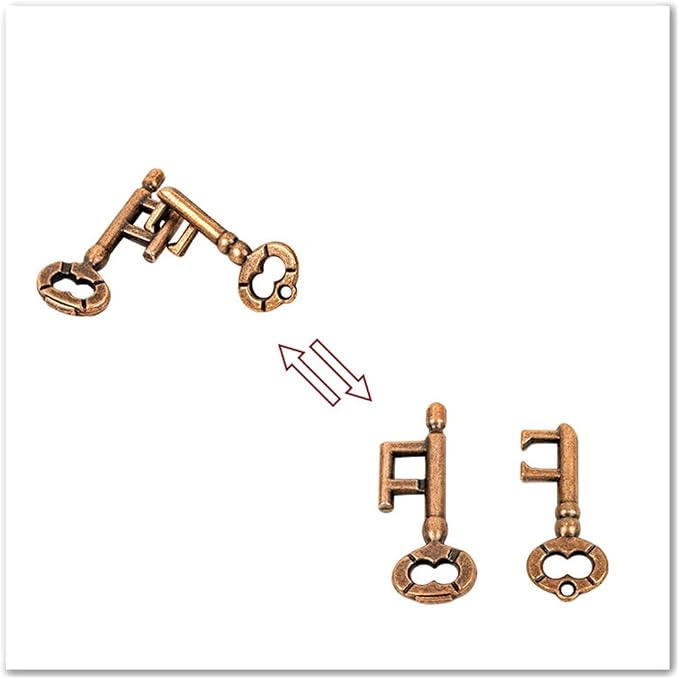 2 Pair Sets of Metal Brain Teaser Puzzle Keys, Assembly & Disentanglement Puzzles, IQ Logical Games, Fidget Stress Gift for Adults