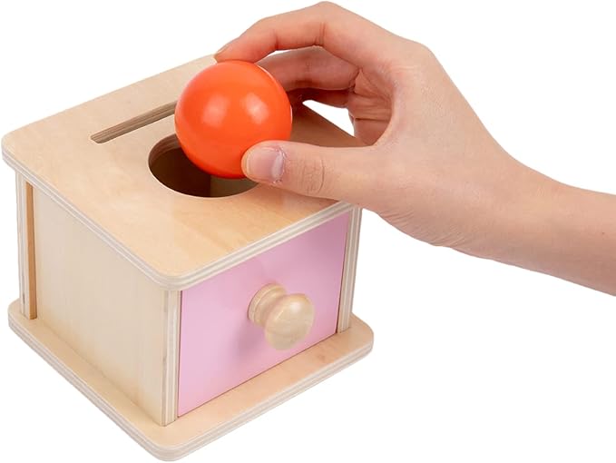 Adena Montessori Coin Box, 2 in 1 Object Permanence Box with Ball and Wooden Discs, Developmental Toys for 6-12 Month Infants, Learning Gifts for 1 Year Old Baby (Pink Door)