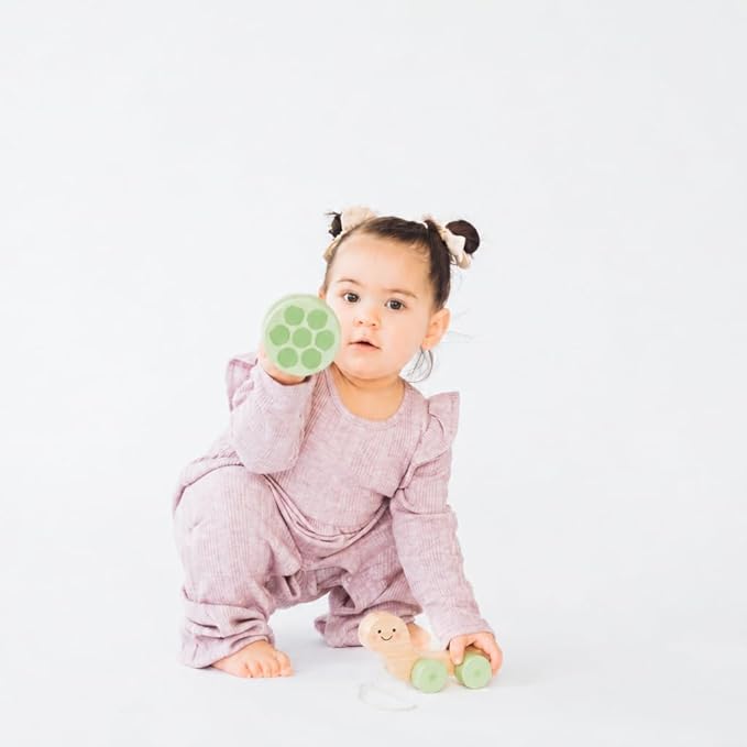 Pearhead Wooden Turtle Push and Pull Toy, Montessori Shake and Rattle Shell, Baby Walking and Gross Motor Development Learning, Pull Along Car Toy, Ages 12m+