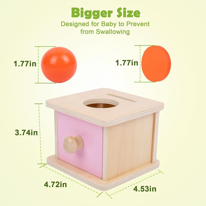Adena Montessori Coin Box, 2 in 1 Object Permanence Box with Ball and Wooden Discs, Developmental Toys for 6-12 Month Infants, Learning Gifts for 1 Year Old Baby (Pink Door)