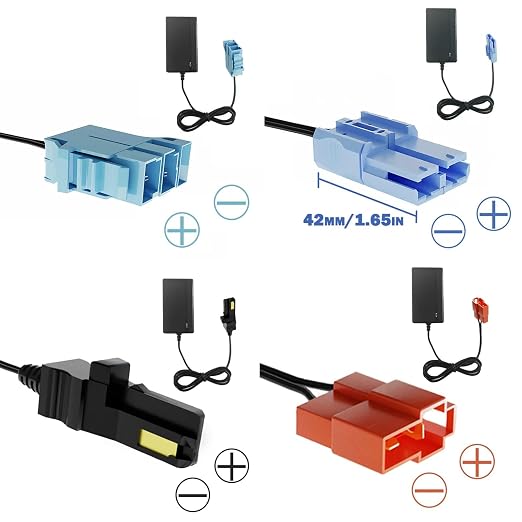 JRRXM 12Volt & 24Volt Universal Charger for Batty Powered Kid's Ride on Toys Car, Best Choice 12V&24V Adapter Charger for Power Wheels Electric Vehicle.LED Lights,Peg-Perego,Fisher-Price (24Volt)