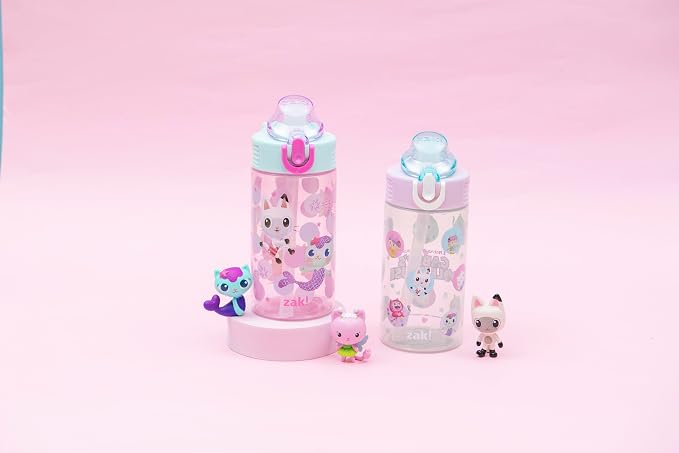 Zak Designs DreamWorks Gabby's Dollhouse Sage Kids Water Bottle For School or Travel, 16oz Durable Plastic Water Bottle With Straw and Leak-Proof, Pop-Up Spout Cover, 2-Pack Set (The Gabby Cats)