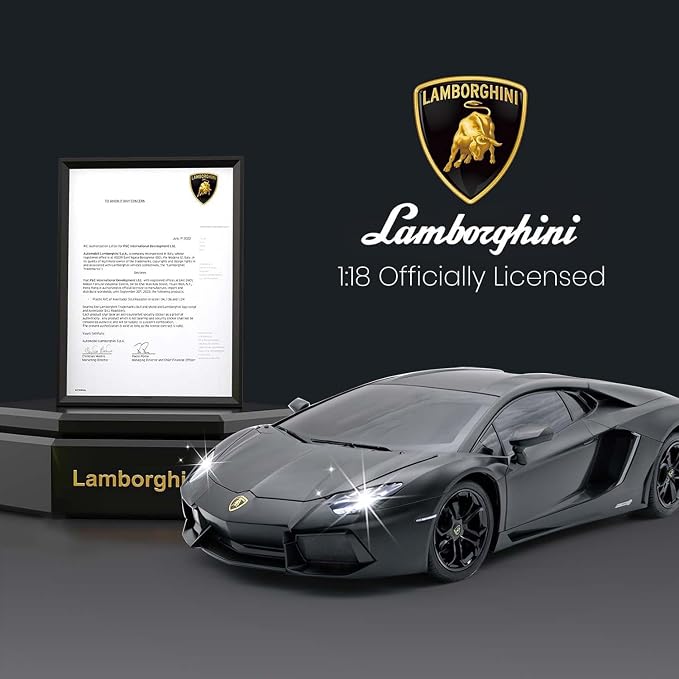 Official Licensed Lamo LP-700 1:18 Scale Remote Control Car for Kids 8-12 Years, RC Car with Rechargeable Battery 3.7V 500mAh, 2.4GHz Matte Black