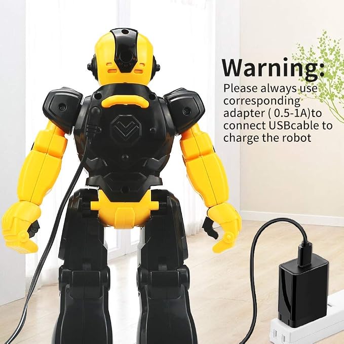 Remote Control RC Robot Toy for Kids,Intellectual Gesture Sensor Programmable Robots with Infrared Controller, Rechargeable,Early Education Toys,Speak,Dance,Sing,Walk,Slide Robot Kits