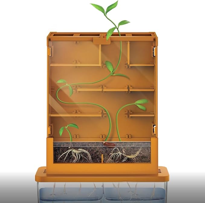 4M: Green Science - Grow-A-Maze - DIY Mini Plant Growth Lab, Customizable Maze, Assemble-Plant-Observe The Power of Nature, STEAM Project, Kids 5+