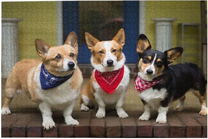 Welsh Corgi Dog 500 Piece Jigsaw Puzzle Jigsaw Puzzles for Adults Children The Young Jigsaw Puzzles for Adult Puzzle Game 500 Piece Toys Gift
