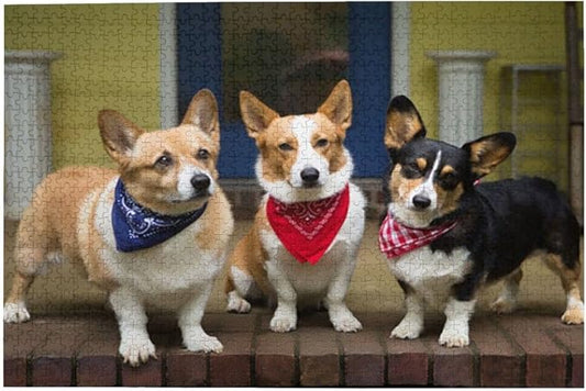 Welsh Corgi Dog 500 Piece Jigsaw Puzzle Jigsaw Puzzles for Adults Children The Young Jigsaw Puzzles for Adult Puzzle Game 500 Piece Toys Gift