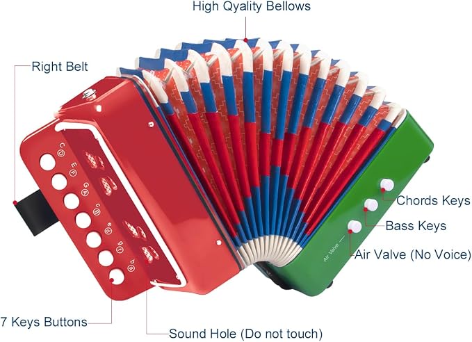 Button Accordion, Horse 10 Keys Control Kids Accordion Musical Instruments for Kids Children Beginners Lightweight and Environmentally-friendly (Mixer Color)