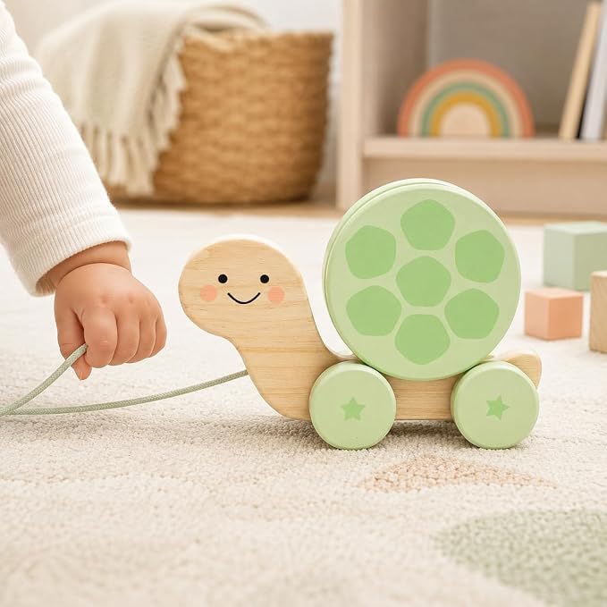 Pearhead Wooden Turtle Push and Pull Toy, Montessori Shake and Rattle Shell, Baby Walking and Gross Motor Development Learning, Pull Along Car Toy, Ages 12m+