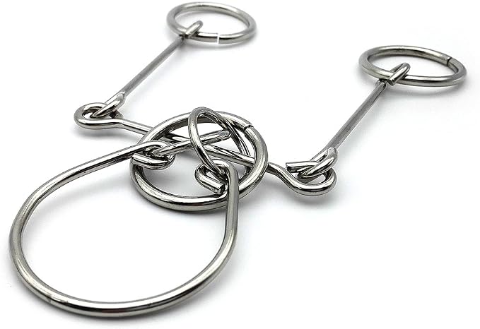 4 Sets Advanced Metal Brain Puzzles Teasers Toys Puzzles Magic Toys for Kids Adults