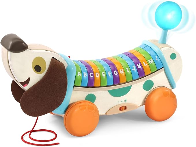 LeapFrog Wooden AlphaPup