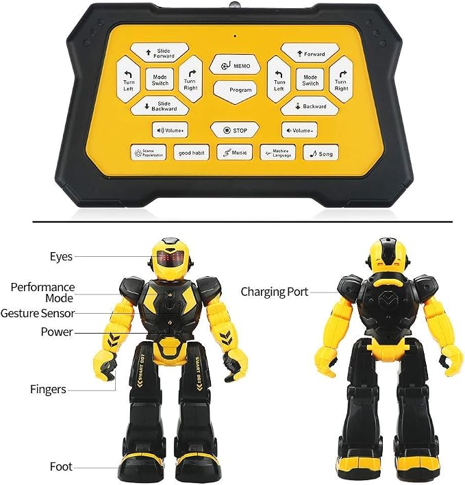 Remote Control RC Robot Toy for Kids,Intellectual Gesture Sensor Programmable Robots with Infrared Controller, Rechargeable,Early Education Toys,Speak,Dance,Sing,Walk,Slide Robot Kits