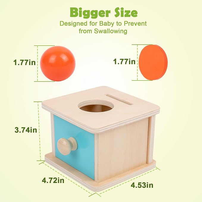 Adena Montessori Coin Box, 2 in 1 Object Permanence Box with Ball, Wooden Ball Drop Toys for 6-12 Month Infants, Developmental Learning Toys for 1 Year Old Baby, Kids Gifts (Blue Door)