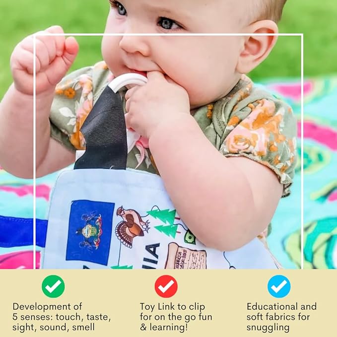 Baby Jack & Co 8x8” Learning Lovey Michigan State Tag Stroller Toy for Babies - Crinkle Toys for Developing Five Senses - Learn About Capitals - Travel with Baby Jack - BPA Free Clip