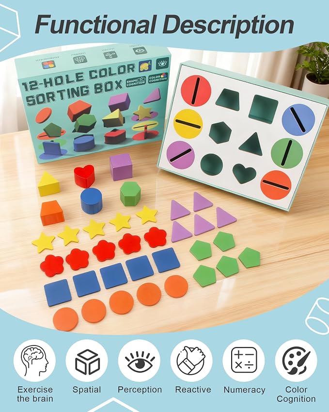 12-Hole Color Shape Sorting Box – Montessori Toy for Toddlers 3-5 Years, Geometric Colors & Shapes Learning Game, Fine Motor Activity for Preschool Classroom, Birthday Gift for Boys and Girls