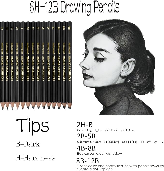 Heshengping Drawing Sketch Pencil Set 14pcs Sketching Pencils 12B 10B 8B 7B 6B 5B 4B 3B 2B B HB 2H 4H 6H Graphite Pencils for Kid Adults Artists Student Beginners Professional