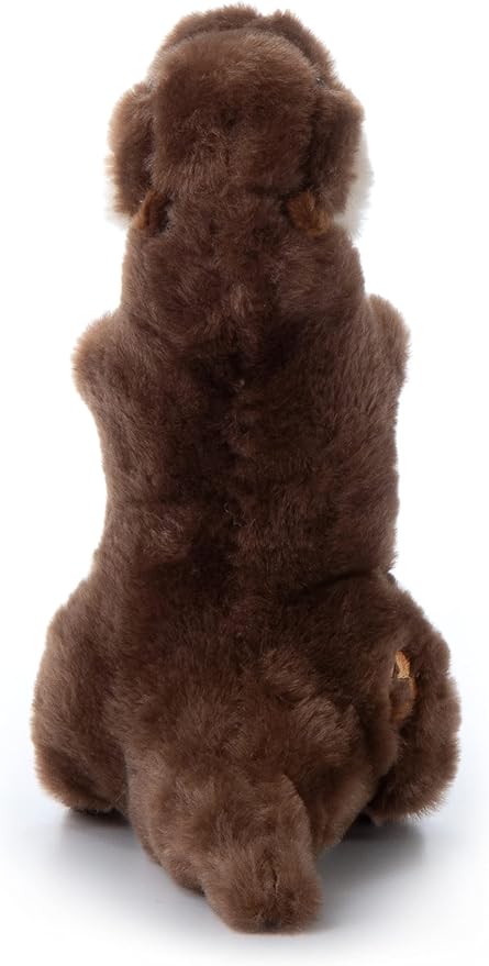 The Petting Zoo River Otter Stuffed Animal Standing, Gifts for Kids, Wild Onez Zoo Animals, River Otter Plush Toy 10 inches
