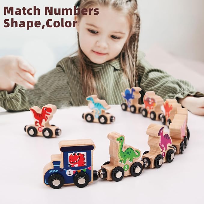 Magnetic Wooden Dinosaur Train Set, 11 Piece Montessori Toys for Toddlers, Preschool Educational Material for Kids, Birthday Gifts for Boys and Girls