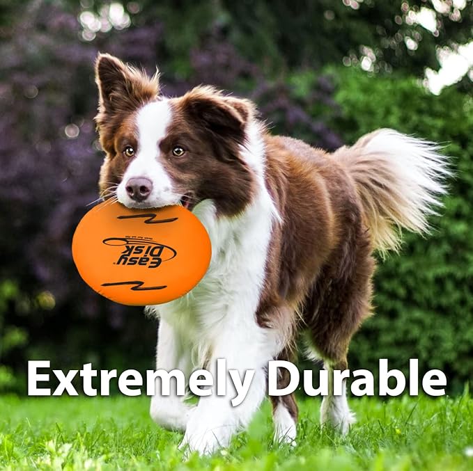 Funsparks Easy Disk - Soft Catch Flying Disc - Easy to Learn and Play Disc Toss for Indoors or Outdoor Games for Kids, Beginners or Advanced Ultimate Flying Disc Game