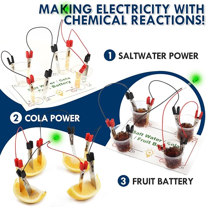 Fruit Saltwater Battery Science Circuit Kits for Kids 8-12, Bulk STEM Kit Potato Battery Lemon Light Bulb Food Experiments, Circuits for Class Electricity Projects Classroom Gifts 8 9 10 11 Year Old