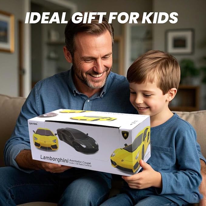 Official Licensed Lamo LP-700 1:18 Scale Remote Control Car for Kids 8-12 Years, RC Car with Rechargeable Battery 3.7V 500mAh, 2.4GHz Matte Black