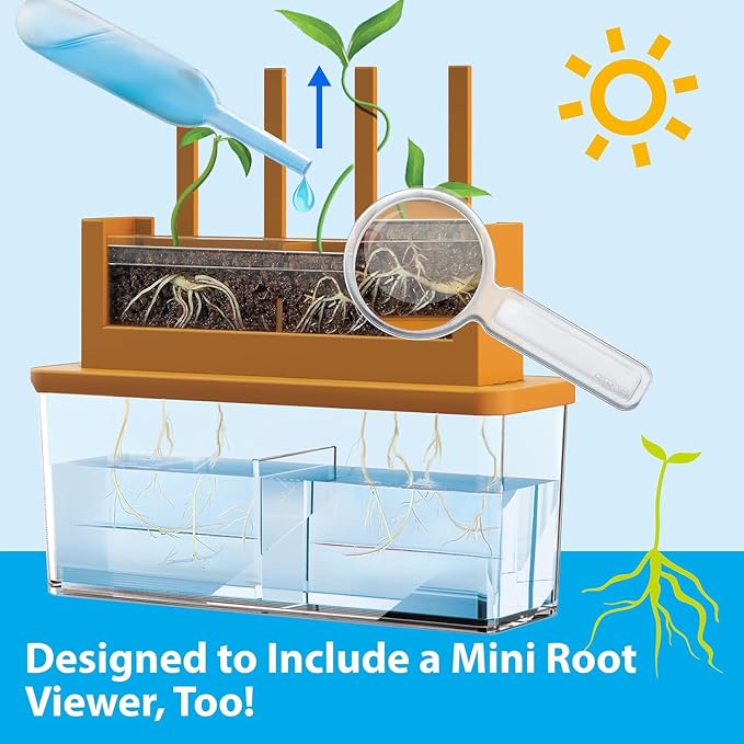 4M: Green Science - Grow-A-Maze - DIY Mini Plant Growth Lab, Customizable Maze, Assemble-Plant-Observe The Power of Nature, STEAM Project, Kids 5+