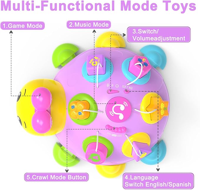 Holaxander Musical Ladybug Baby Toys 6-12 Months, Infant Early Educational Learning Toy for 1+ Year Old Girl, First Birthday Gift Toys for 7 8 9 10 11 Months Newborn Girls (Purple)