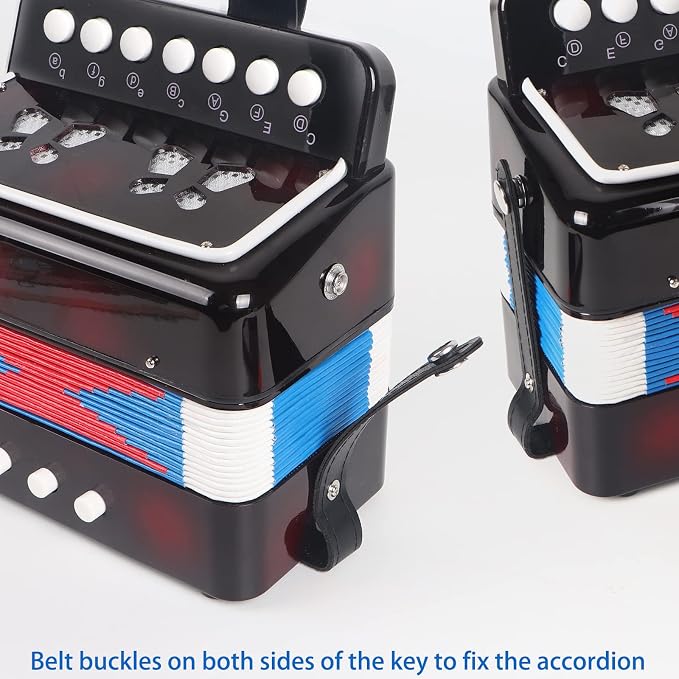 Horse Kids Accordion, 10 Keys Button Control Kid Accordions Musical Instruments for Child Children Toddlers Beginners Accordian Lightweight 7 key 3 Bass Mini Acordeón Toy Acordeones Para Miños Black