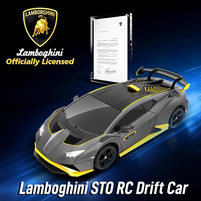 YONCHER RC Drift Car, Remote Control Car for Kids Lamborghini Officially Licensed, 1:24 20KM/H 4WD RC Cars with Lights, Fast Racing Toy Car for Boys Girls, Gray