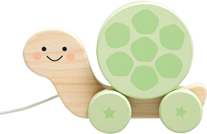 Pearhead Wooden Turtle Push and Pull Toy, Montessori Shake and Rattle Shell, Baby Walking and Gross Motor Development Learning, Pull Along Car Toy, Ages 12m+