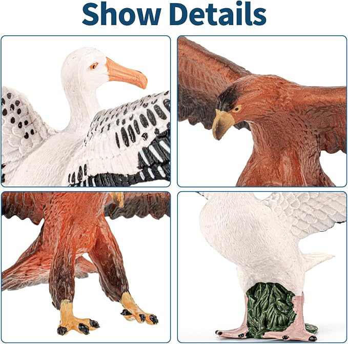 8PCS Large Galapagos Animal Toys, 4-8'' Realistic Sea Animal Figurines Set Includes Shark, Giant Tortoise, Hawk, Crab, Sea Lion, Blue-Footed Booby, Educational Learning Toys for Toddlers Kid