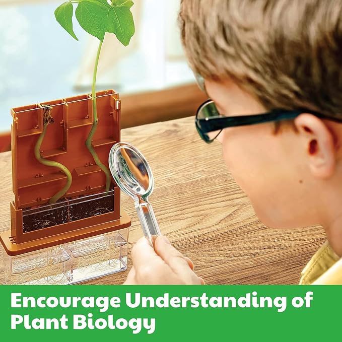 4M: Green Science - Grow-A-Maze - DIY Mini Plant Growth Lab, Customizable Maze, Assemble-Plant-Observe The Power of Nature, STEAM Project, Kids 5+