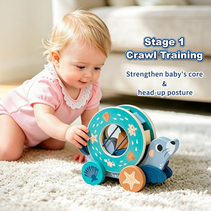 LOVELAND Wooden Seal Pull Along Toy, 3-in-1 Interactive Walker for Toddlers 1-3 with Rattle Ball & Shape Sorter, STEM Educational Push Pull Walking & Crawling Toy for Baby Boy Girl Birthday Gifts